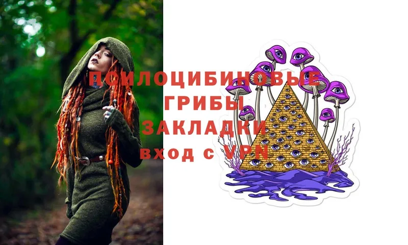 omg ССЫЛКА  Бийск  Псилоцибиновые грибы Magic Shrooms 